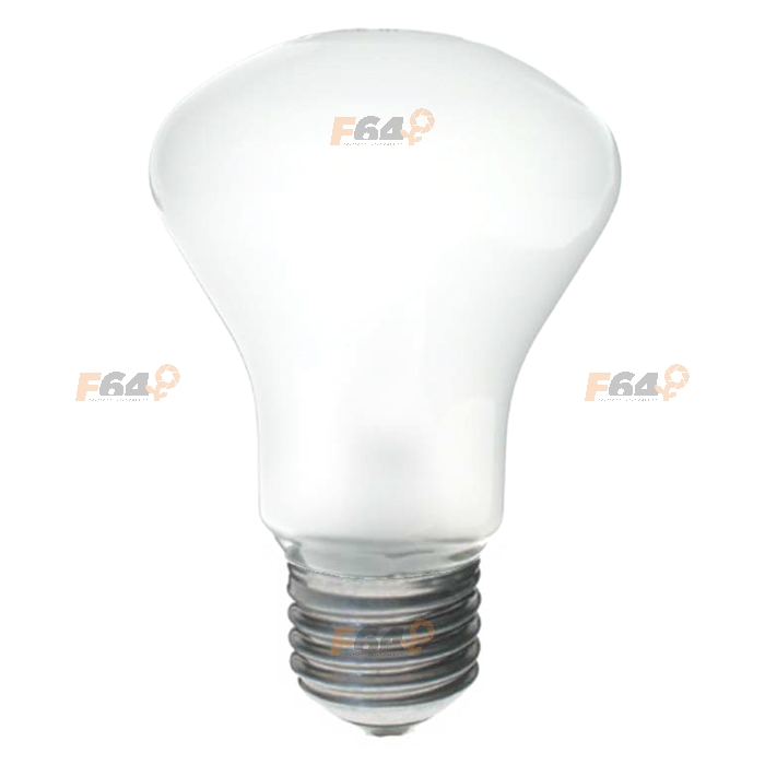 Elinchrom #23002 Modelling Lamp 100W D-Lite/BXRI - F64